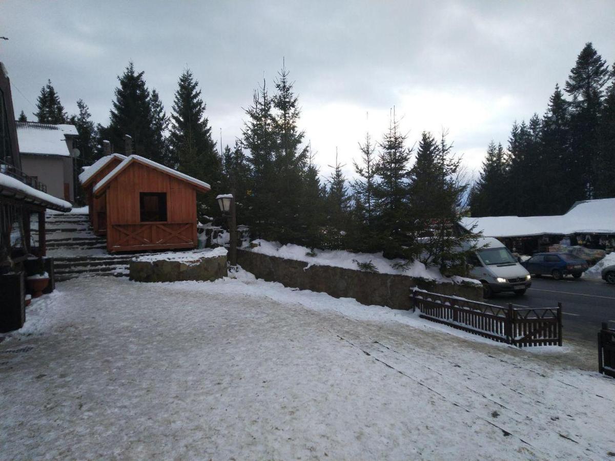 Беркут Bukovel Dış mekan fotoğraf