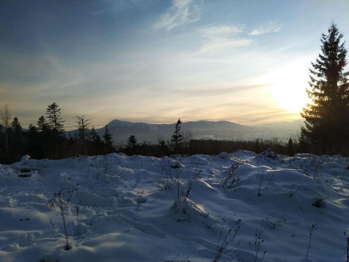 Беркут Bukovel Dış mekan fotoğraf